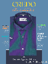 Green &amp; Magenta Stripe Formal Shirt_1.jpg