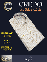 Graviera Fabric Beige Stripe on White Full Sleeves Formal Shirt_2.jpg