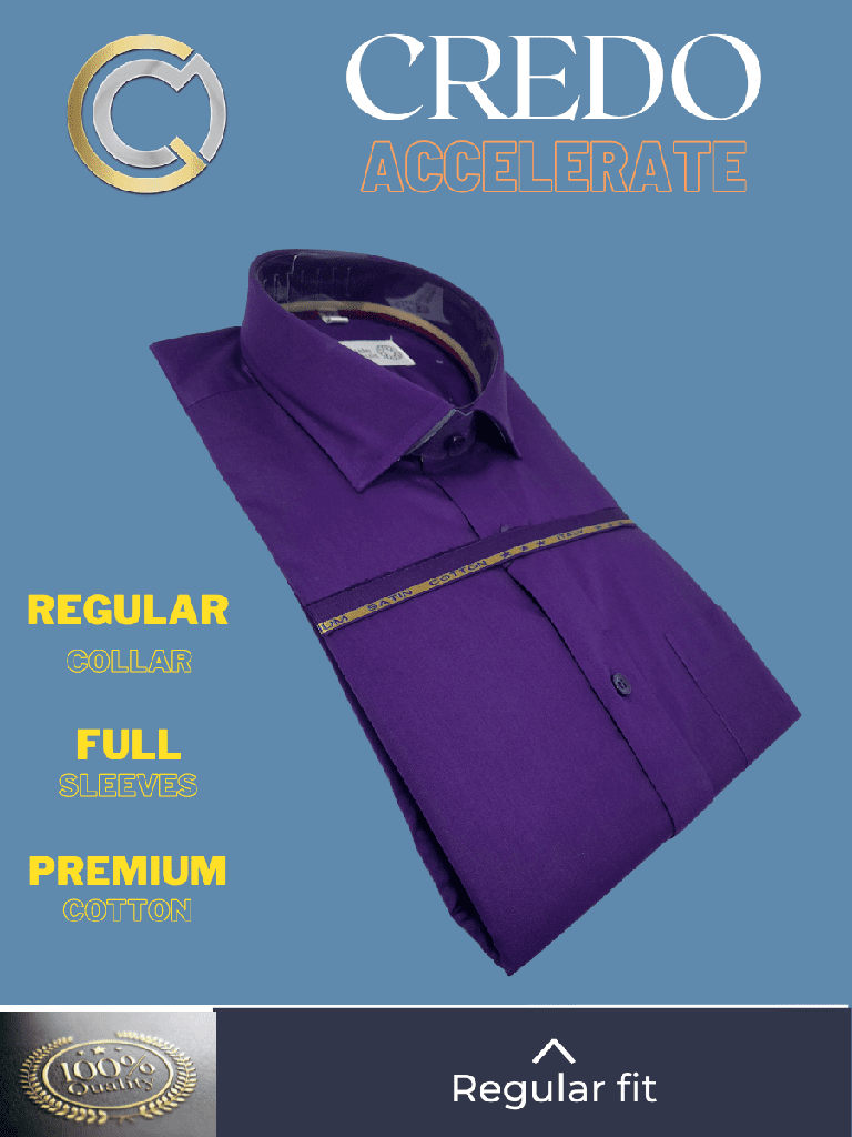 Italian Fabric Voilet Full Sleeve Shirt(640)_2.jpg