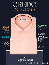 Light Orange Half Sleeve Formal Shirt_1.jpg