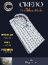 Multi Colour Stripe Formal Shirt_2.jpg