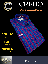 Multicolor Check Blue Formal Shirt_2.jpg