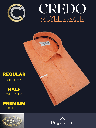 Orange Half Sleeves Formal Shirt_2.jpg