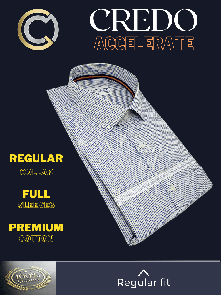 Raymond Fabric Blue Check White Formal Shirt(213)_2.jpg