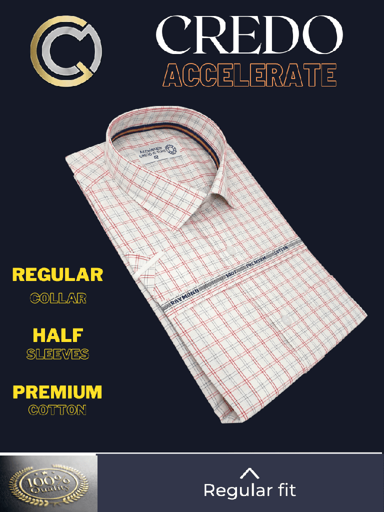 Raymond Fabric Blue &amp; Red Check Formal Shirt_2.jpg