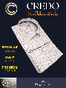 Raymond Fabric Blue &amp; Red Check Formal Shirt_2.jpg