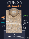 Raymond Fabric Light Brown Texture Half Sleeve Formal Shirt(557)_1.jpg