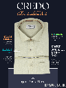 Raymond Fabric Pista Green Formal Shirt_1.jpg