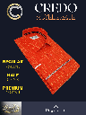 Raymond Fabric Orange Formal Shirt_2.jpg