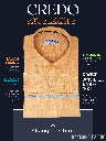 Raymond Fabric Orange Texture Formal Shirt_1.jpg