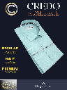 Raymond Fabric Turquoise Colour Formal Shirt_2.jpg