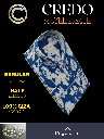 Royal blue and white floral printed shirt(864)_2.jpg