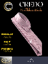 red pink striped half sleeve shirt 719_2.jpg