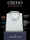Light Blue Formal Shirt(14)_1.jpg