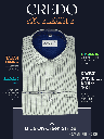 Raymond Fabric Blue & Green Stripe Formal Shirt_2.jpg