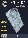 Blue and white checks Raymond shirt(889)-3.webp