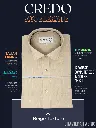Graviera Fabric Beige Texture Full Sleeve Formal Shirt(520)-38-2.webp