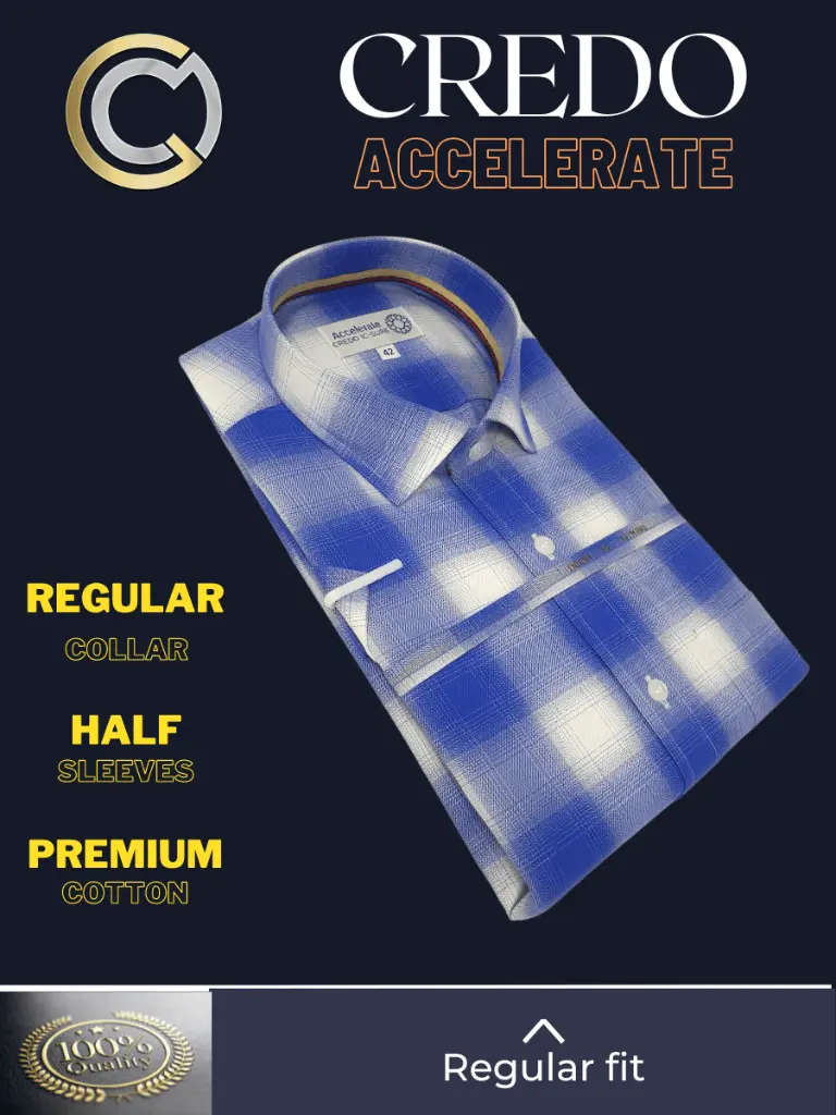 Raymond fabric Blue White Check Formal Shirt(501)-42-3.webp