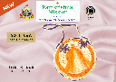 Jute Doll Bag (10 Inch) Image 4