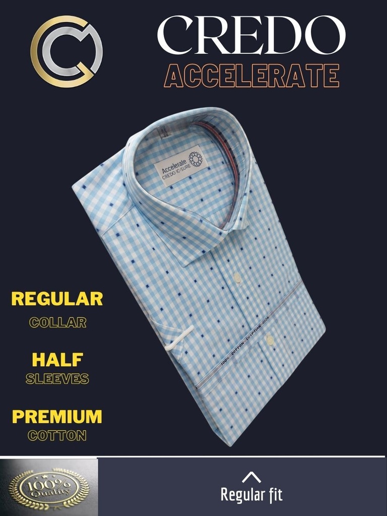 Blue and white checks Raymond shirt(889) Image 3