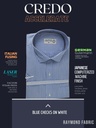Blue checks on white Raymond shirt(903) Image 2