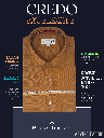 Arvind Fabric Brown Texture Formal Shirt_1.jpg