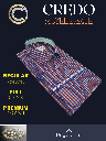 Arvind Fabric Orange Check on Blue Formal Shirt_2.jpg