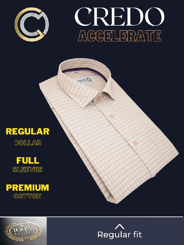 Beige Check Full Sleeve Shirt_2.jpg