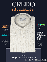 Beige Stripe on White Formal Shirt(547)_1.jpg