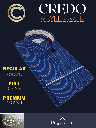 Arvind Fabric White Stripe on Blue Shirt_2.jpg