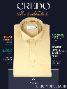 Beige Colour Formal Shirt_1.jpg