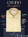 Beige Check Half Sleeve Formal Shirt(528)_1.jpg