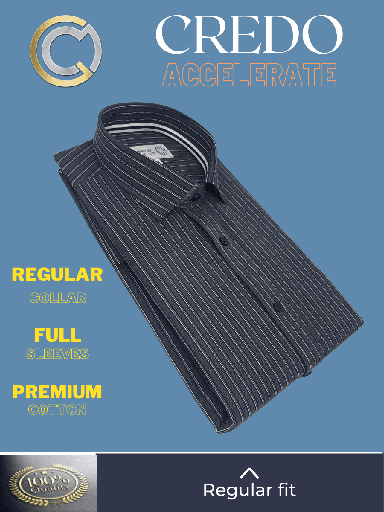 Black Stripe on Grey Formal Shirt_2.jpg