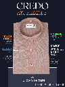Brown Texture Formal Half Sleeve Shirt(334)_1.jpg