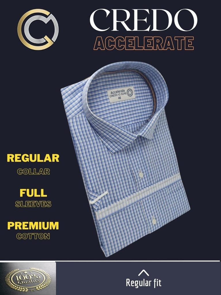 Blue checks on white Raymond shirt(903)_2.jpg