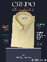 DEEP YELLOW HALF SLEEVE SHIRT_1.jpg