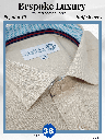 Beige Formal Shirt