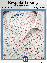 Raymond Fabric Blue &amp; Red Check Formal Shirt