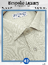 Raymond Fabric Pista Green Formal Shirt