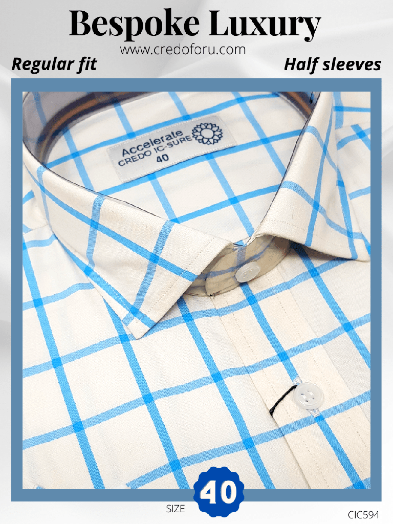 Raymond Fabric Sky Blue Check on White Formal Shirt(594)