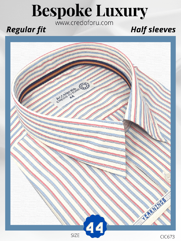 Raymonds Blue Pink Stripes Full Sleeve Shirt(673)