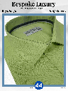 Credo Imported Light Green Half Sleeve Shirt(604)