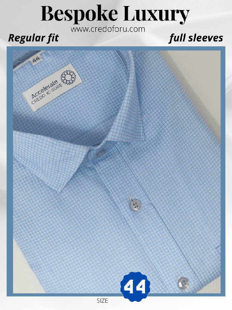Blue striped full sleeve shirt
