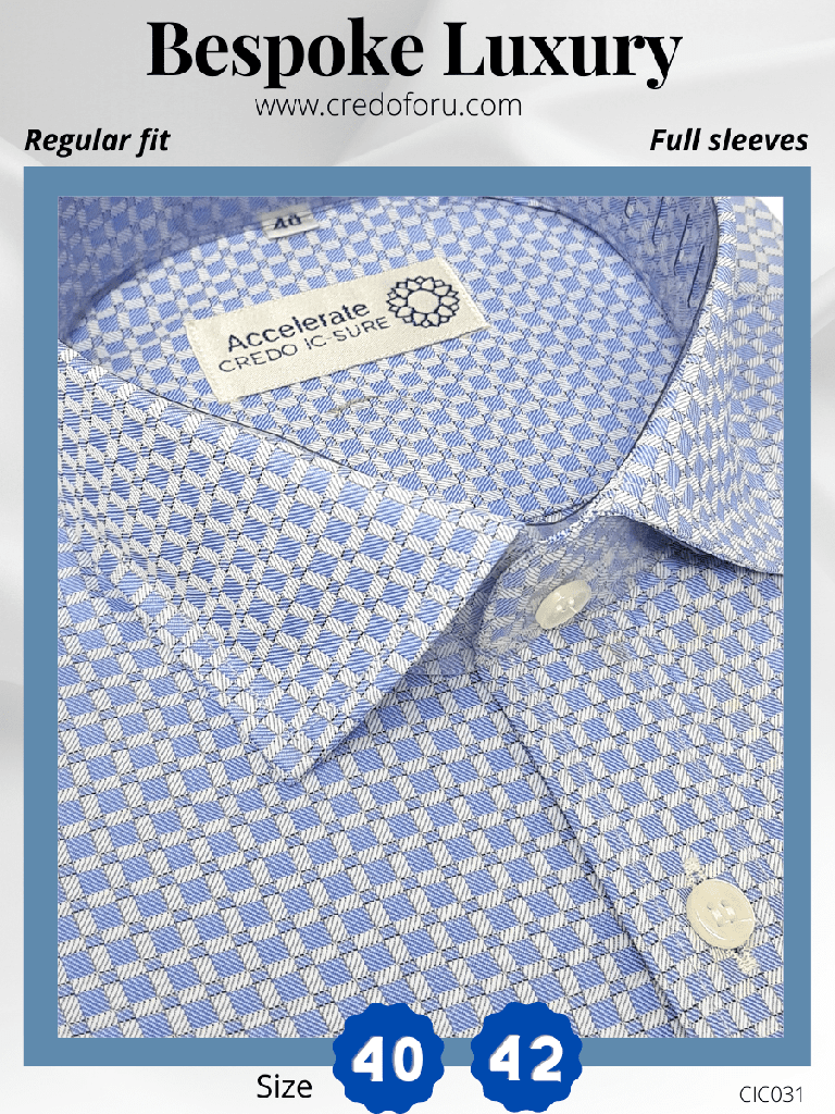 Blue & White Check Formal Shirt(31)
