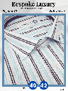 Multi Colour Stripe Formal Shirt