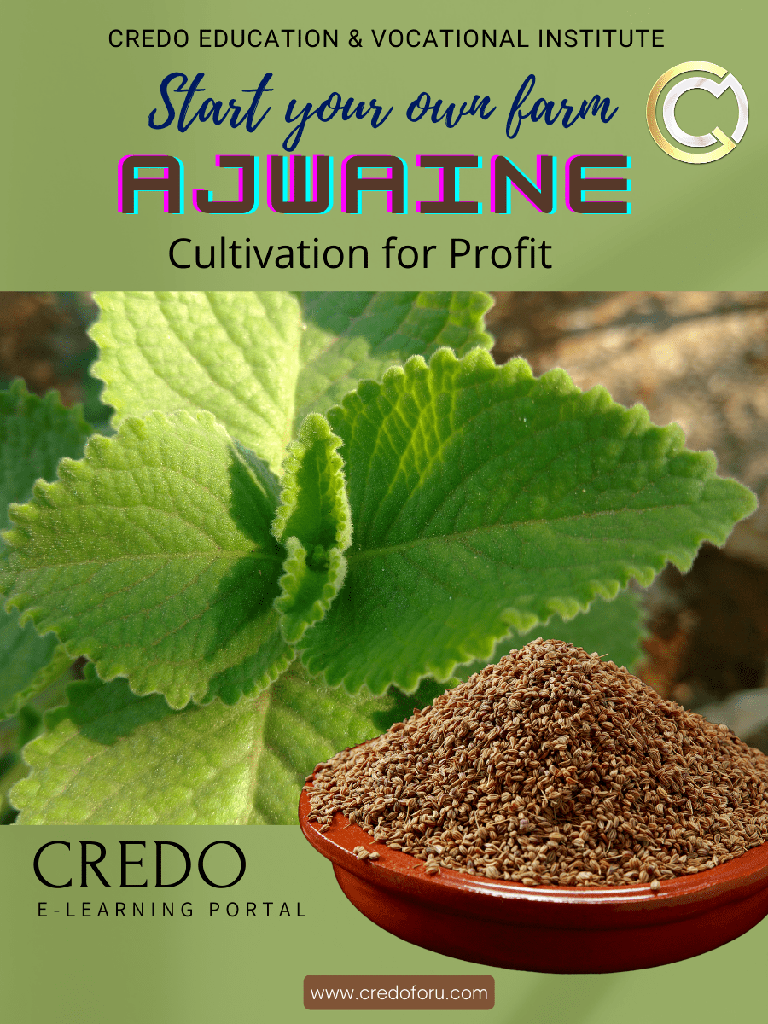 [ajwaine-cultivation] AJWAINE CULTIVATION