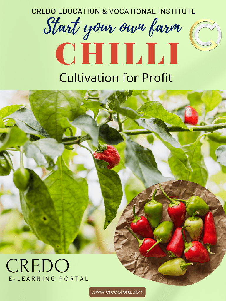 [chilli-cultivation] CHILLI CULTIVATION