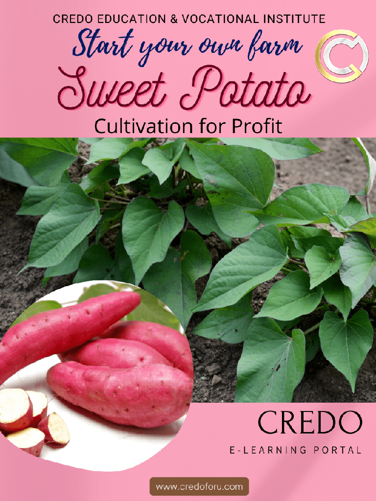 [sweet-potato-cultivation] SWEET POTATO CULTIVATION