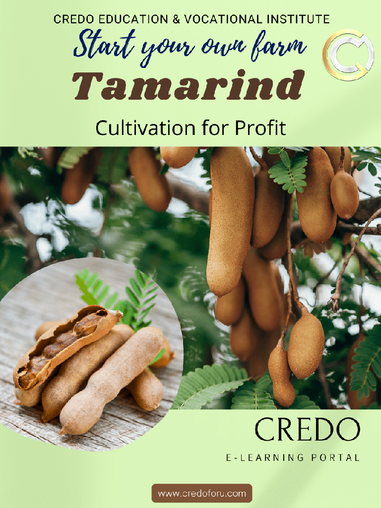 [tamarind-cultivation] TAMARIND CULTIVATION