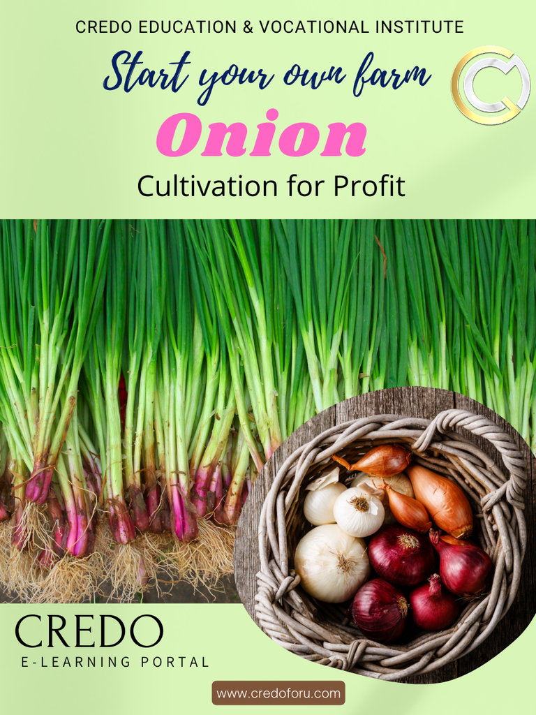 [onion-cultivation] ONION CULTIVATION